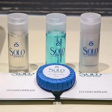 瑞皮塔瑞莱斯酒店 4* 罗马